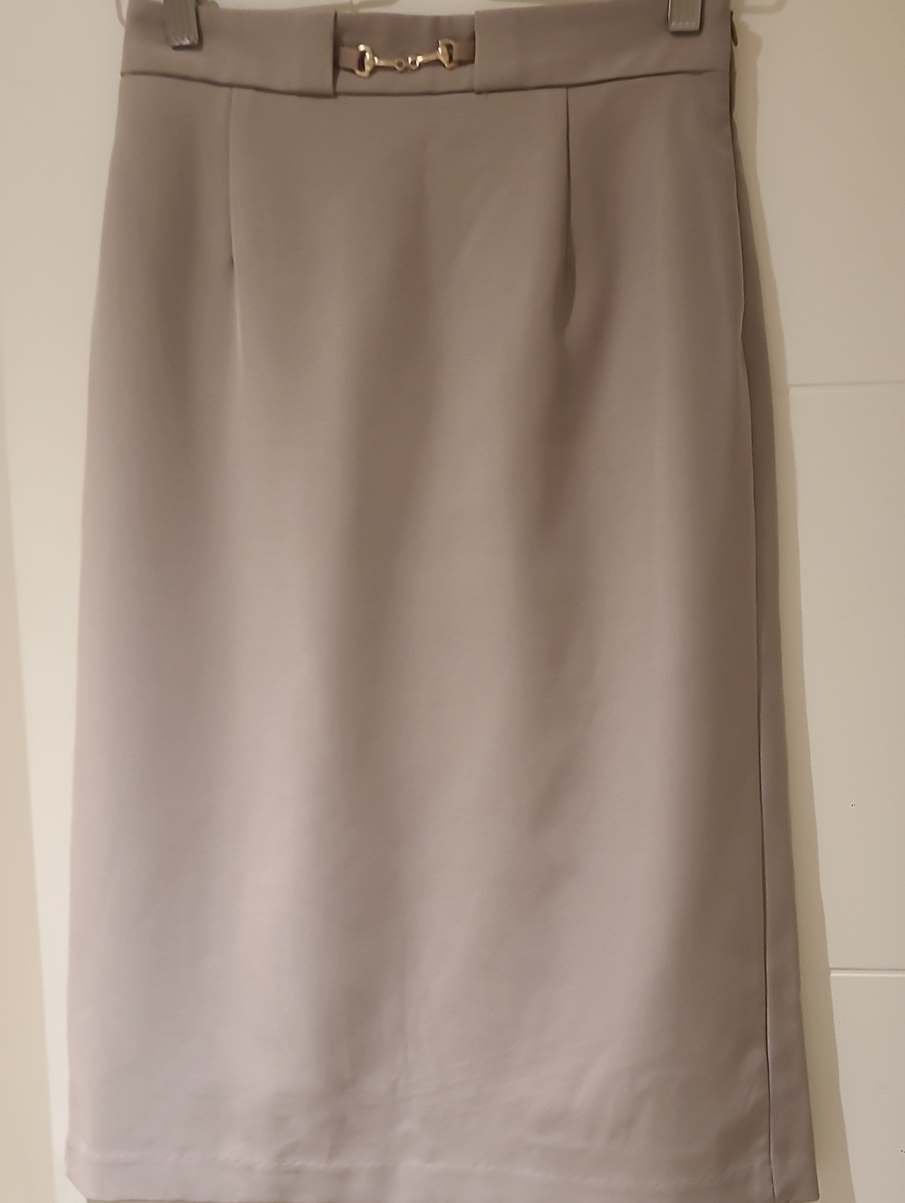 Classic Women's Pencil Skirt in Taupe with Silver Accent